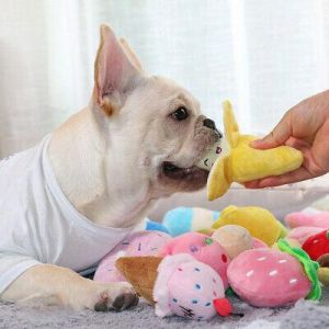 shop net ציוד לכל סוגי בעלי החיים צעצועי לעיסה צעצועי שיניים צלילים