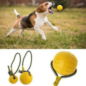 צעצוע לאילוף כלבים - כדור גומי לכלב צעצוע עמיד לנשיכה לעיסה עם חבל